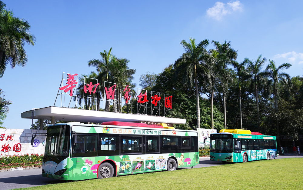 廣交傳媒攜手巴士集團打造“華南國家植物園”主題巴士，助力推動生態文明建設
